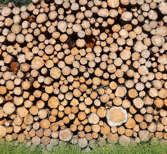 Pelletsproduktion in Deutschland